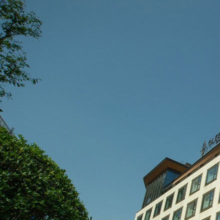 墻紙品牌vi設(shè)計公司案例作品