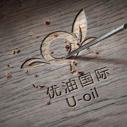 VI公司作品案例展示