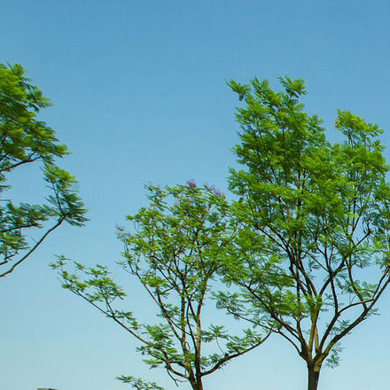 如何設計一個與家居與室內設計行業相關的標志?