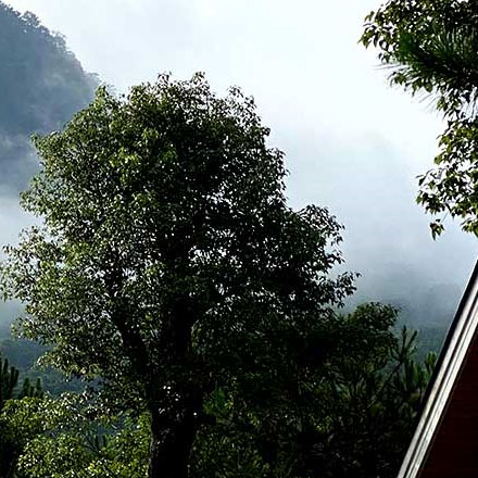 設計電子產品包裝的最佳實踐和戰略考慮因素