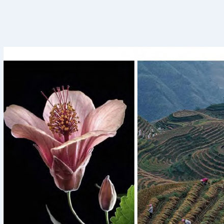 深圳logo設(shè)計(jì)作品案例展示